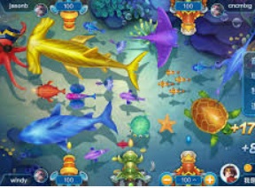 壹号app官网版2024最新版