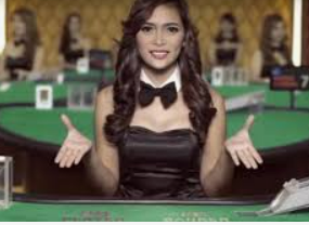 壹号app官网版2024最新版